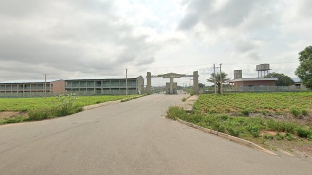 thumbnail-6826.jpg