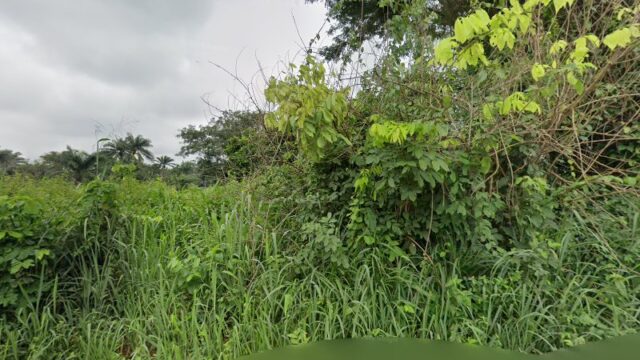 thumbnail-7011.jpg