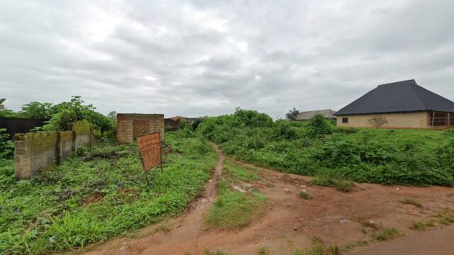 thumbnail-7152.jpg