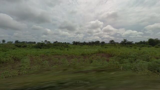 thumbnail-7291.jpg