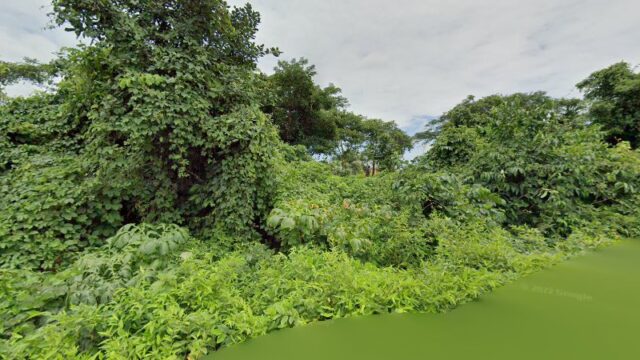 thumbnail-8166.jpg