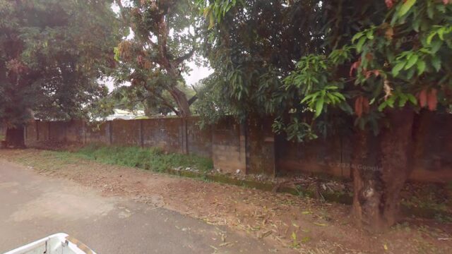 thumbnail-8681.jpg