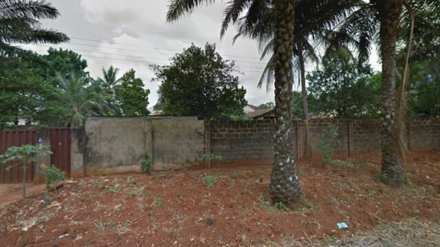 thumbnail-9156.jpg