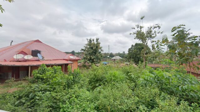 thumbnail-9617.jpg