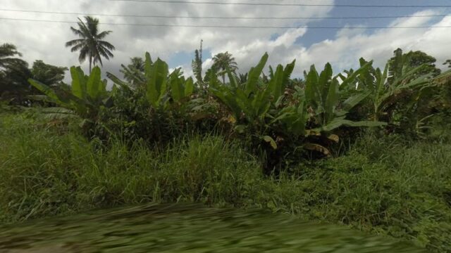 thumbnail-9636.jpg