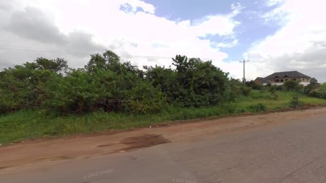 thumbnail-9982.jpg